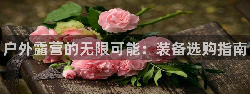 先锋方舟娱乐集团