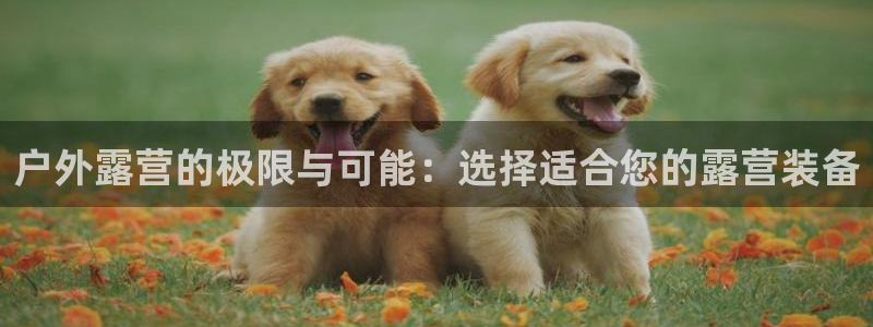 先锋娱乐管理集团